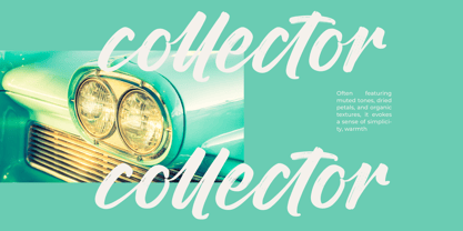 Rough Streak Font Poster 13