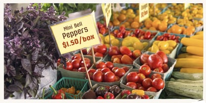 Grove 52 Font Poster 6