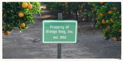 Grove 52 Font Poster 7