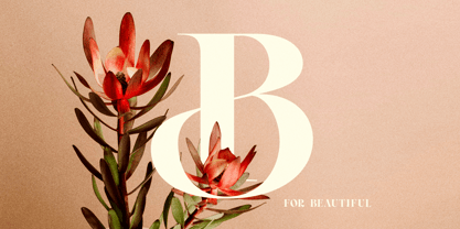 Royal Chapter Font Poster 7