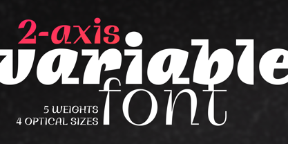 Zinkraft Font Poster 14