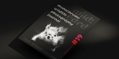 Zinkraft Font Poster 11