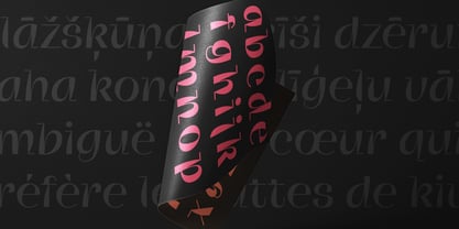 Zinkraft Font Poster 13