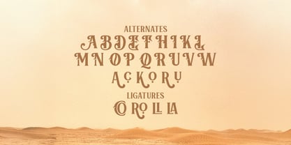 Aquero Font Poster 9