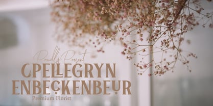 Aquero Font Poster 7