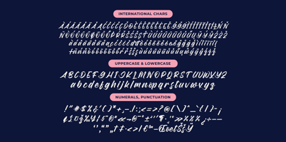 Duster Nighty Font Poster 15