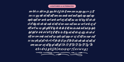 Duster Nighty Font Poster 14