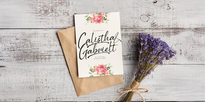 Stringlabs Script Font Poster 3