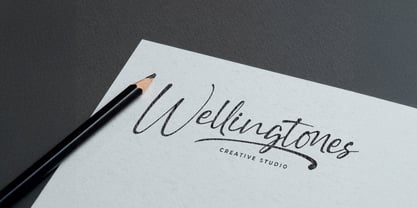 Stringlabs Script Font Poster 4