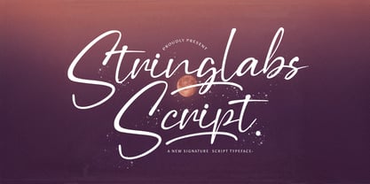 Stringlabs Script Font Poster 1