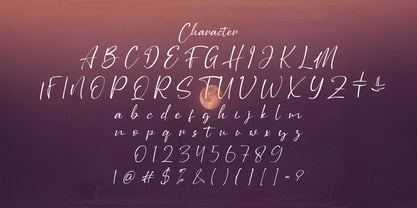 Stringlabs Script Font Poster 7