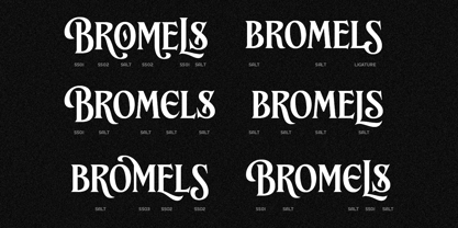 Brillante Siempre Font Poster 10