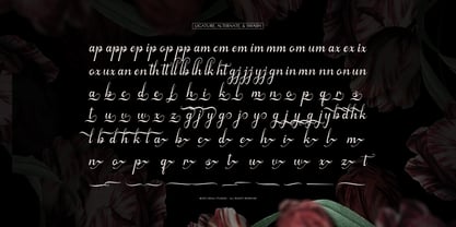 Arthemy Rorelia Font Poster 12