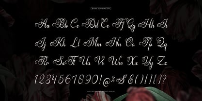 Arthemy Rorelia Font Poster 10