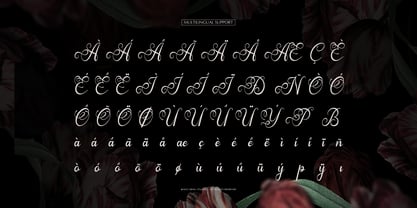 Arthemy Rorelia Font Poster 11