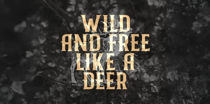 Nicolas Font Poster 4