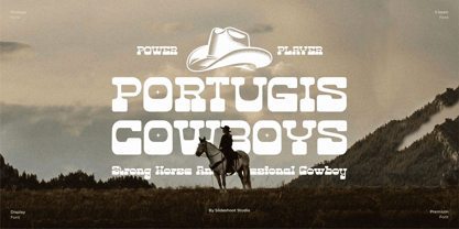 Golde Felon Font Poster 4