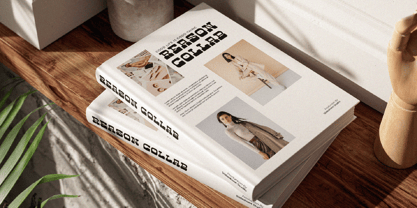 Golde Felon Font Poster 3