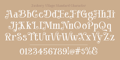 Fashory Vilago Font Poster 3