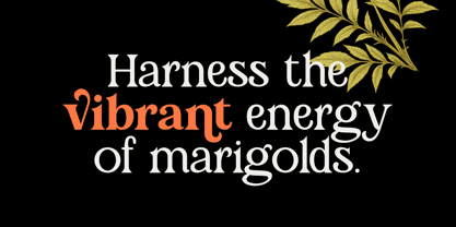 Marigold Magic Font Poster 2