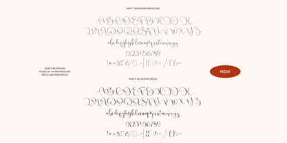Misty Blossom Font Poster 9