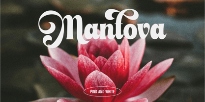 Smile Delight Font Poster 4