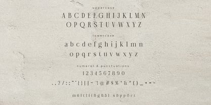 Amarieta Font Poster 8