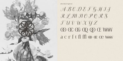 Amarieta Font Poster 2