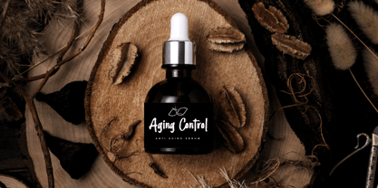 Crustystoned Font Poster 5