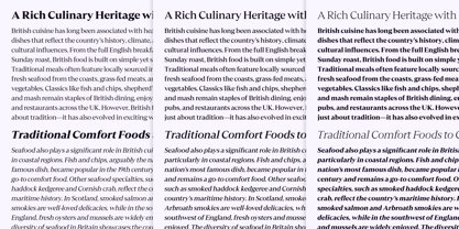 Leksikal Serif Font Poster 5