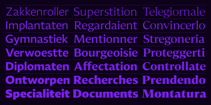 Leksikal Serif Font Poster 6