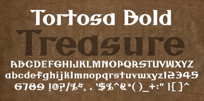 Tortosa Font Poster 5