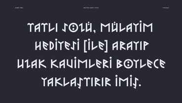 Turk Runic Font Poster 5