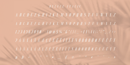 Deluce Font Poster 6