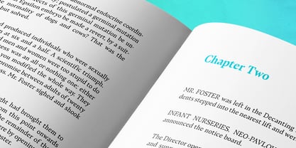 Teramo Font Poster 13