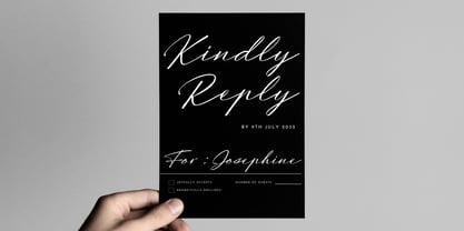 Lemynotes Font Poster 6