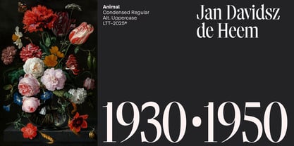 Animal Font Poster 11