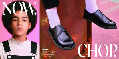 Animal Font Poster 9