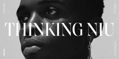 Animal Font Poster 3