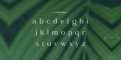 Babalove Font Poster 3