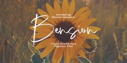 Bension Signature Font Poster 1