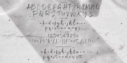 Bension Signature Font Poster 8