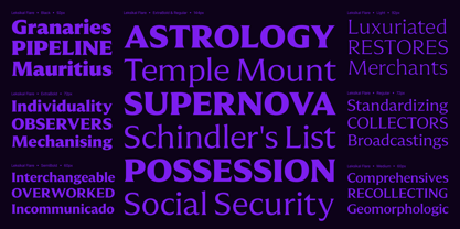 Leksikal Flare Font Poster 4