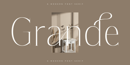 Lisandra Font Poster 2