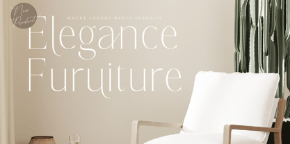 Lisandra Font Poster 4