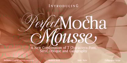 Perfect Mocha Mousse Font Poster 1