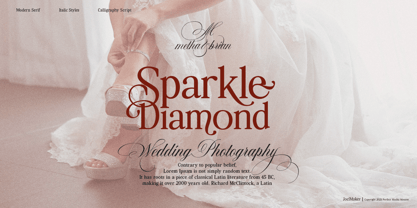 Perfect Mocha Mousse Font Poster 6