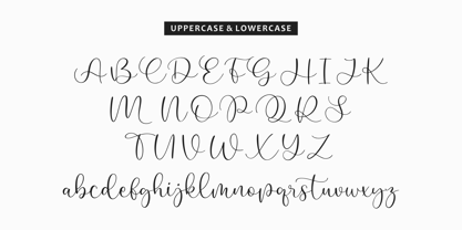 Megalin Font Poster 7