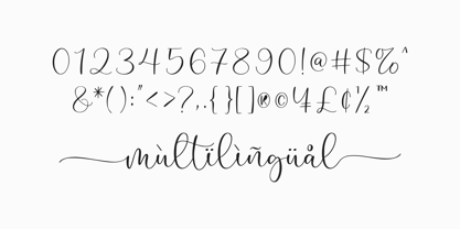 Megalin Font Poster 11