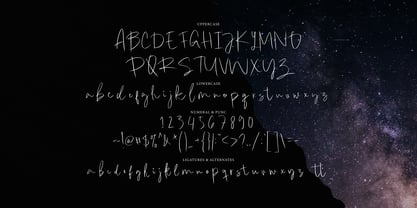 Cikade Signature Font Poster 6
